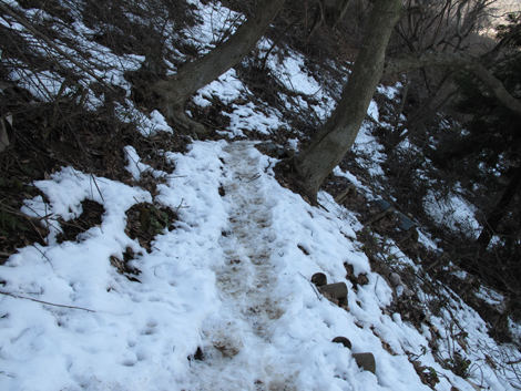 20160128hike (372)